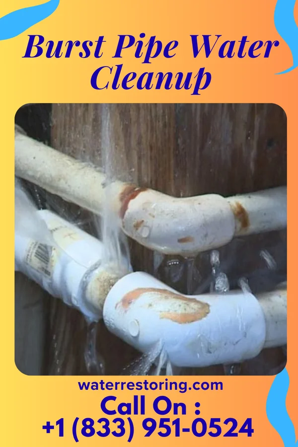 Burst Pipe Water Cleanup in Titusville, NY