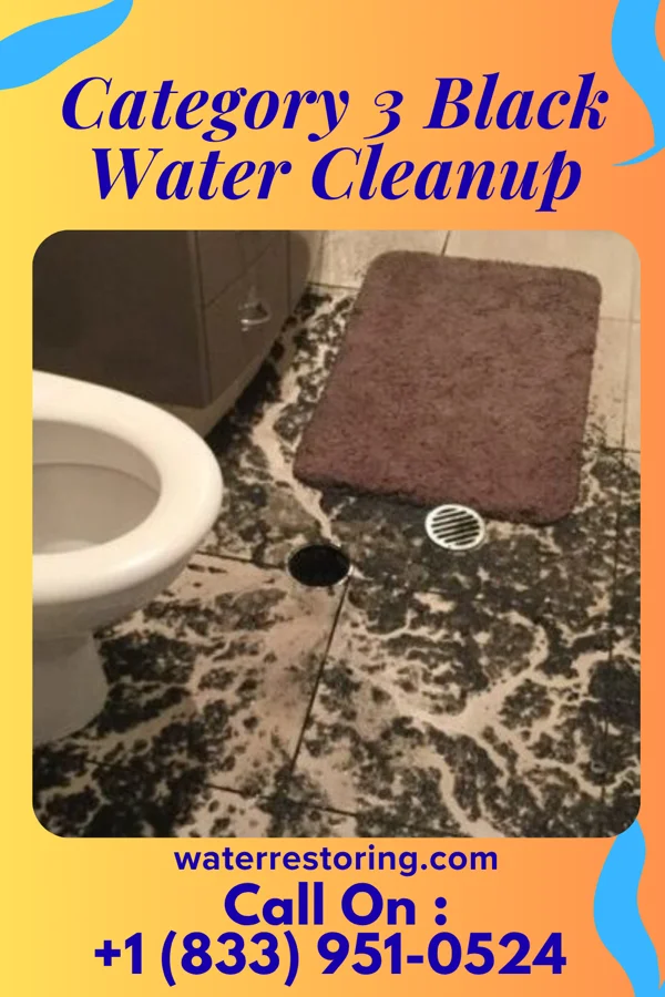 Category 3 Black Water Cleanup in Titusville, NY