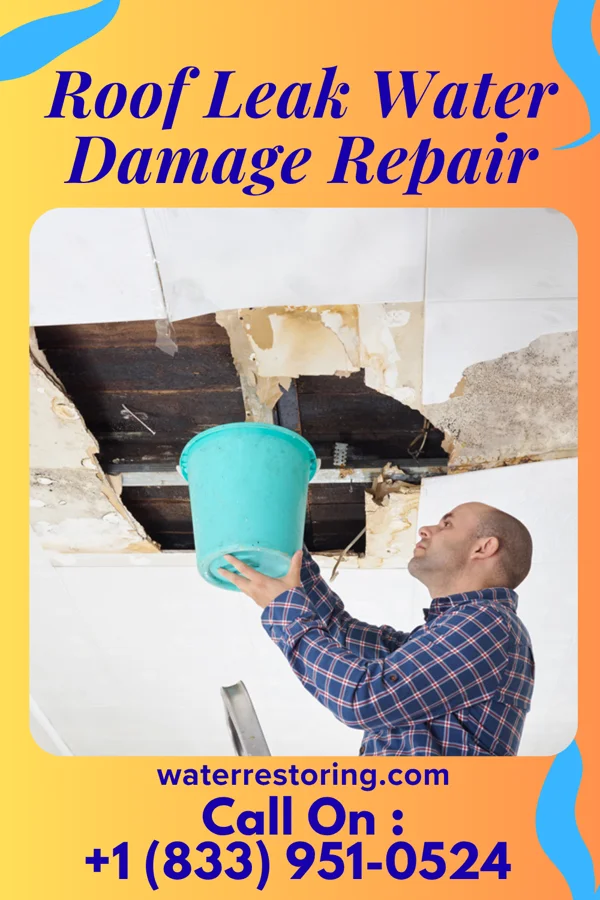 Roof Leak Water Damage Repair in Titusville, NY