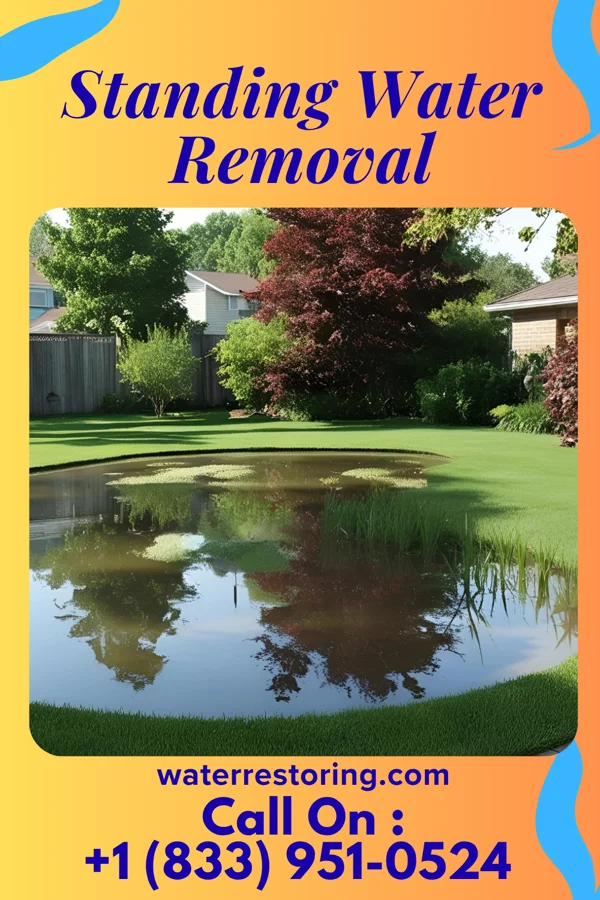 Standing Water Removal in Titusville, NY